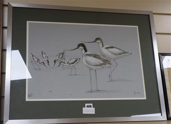 Richard Joicey (20th century British), pastel, Avocets, signed, 34 x 50cm